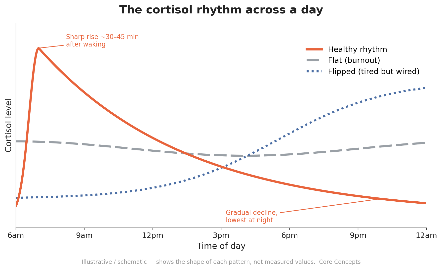 The cortisol rhythm across a day: a healthy curve peaks 30–45 minutes after waking and declines to a low at night; a flat (burnout) curve stays a dull steady line; a flipped (tired but wired) curve is low in the morning and climbs into the night.