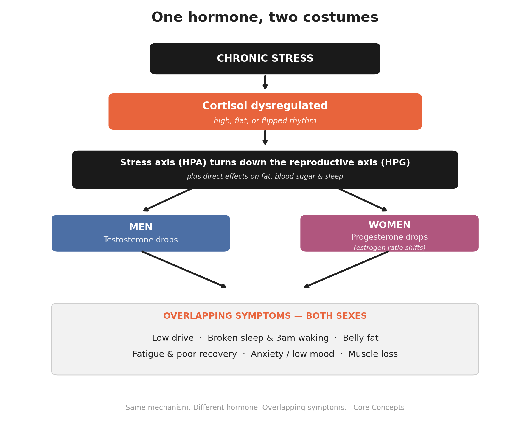 One hormone, two costumes: chronic stress raises cortisol, which suppresses the reproductive axis — dropping testosterone in men and progesterone in women, producing different symptoms from the same mechanism.